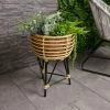 Charles Bentley Casablanca Tripod Plant Stand Natural Black Rattan 50x35cm 2 Charles Bentley Casablanca Tripod Plant Stand Natural Black Rattan 50x35cm -CHARLES BENTLEY Shop 35105520 1